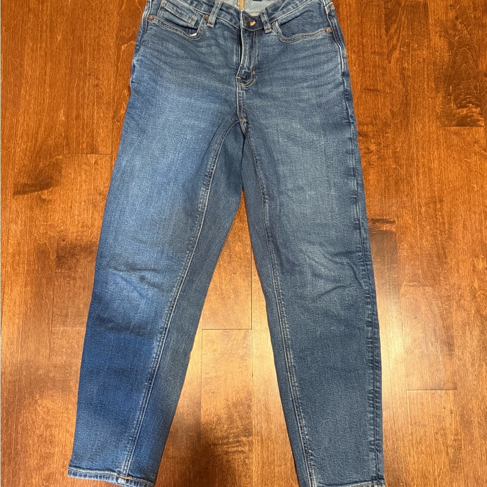 American Eagle Outfitters Dark Blue Ankle Jeans